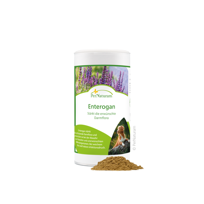 Enterogan - DarmKur 250 g