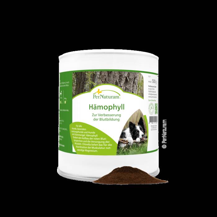 Hämophyll - BlutKomplex