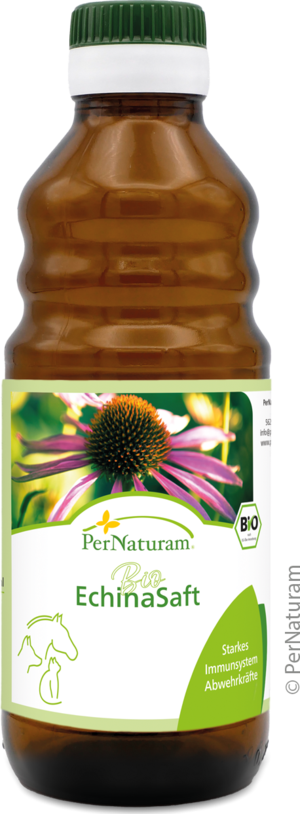 Bio Echina ImmunSaft 250 ml
