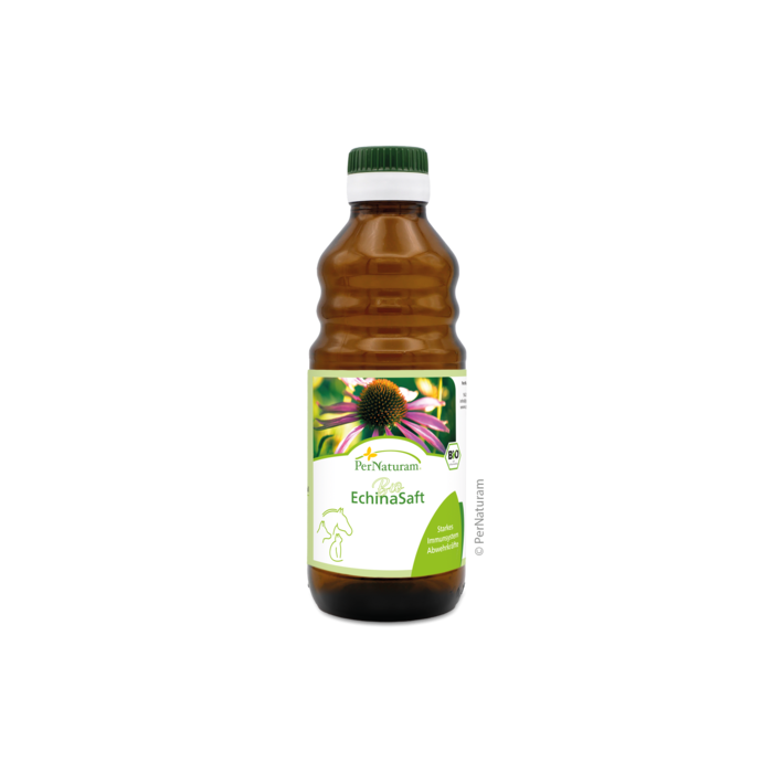 Bio Echina ImmunSaft 250 ml