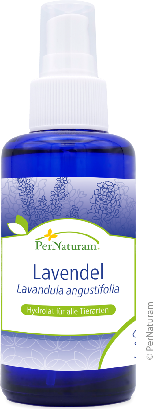 Lavendel Hydrolat (100 ml)