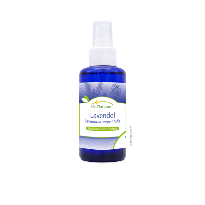 Lavendel Hydrolat (100 ml)