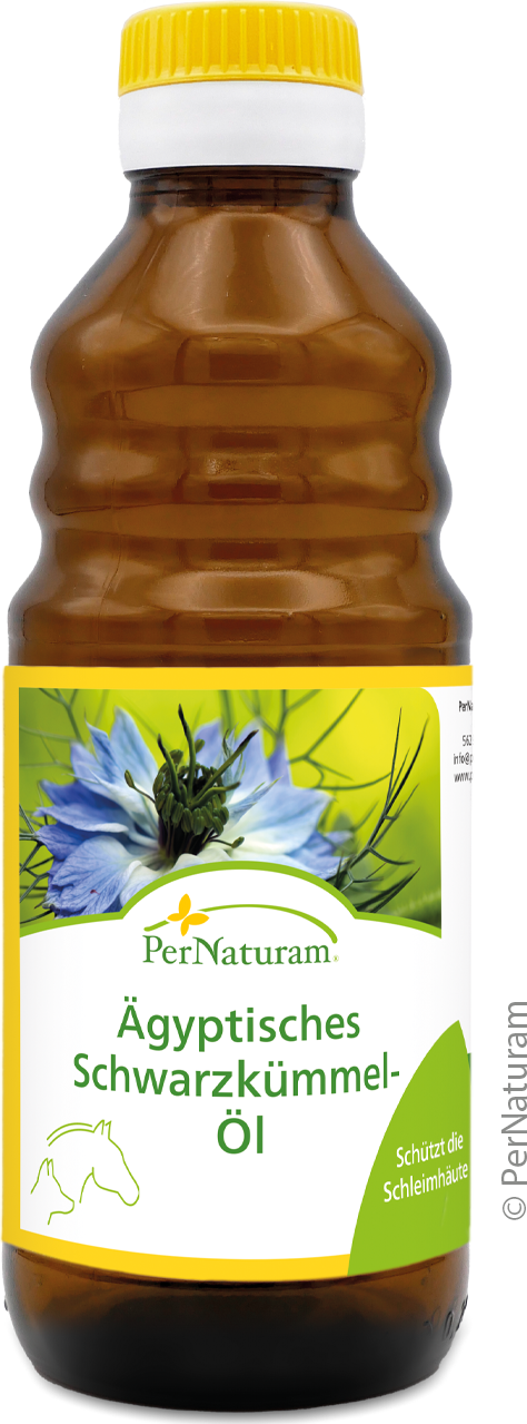 Ägyptisches Schwarzkümmel-Öl ( 250 ml )