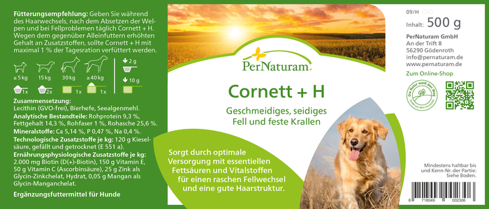 Cornett +H