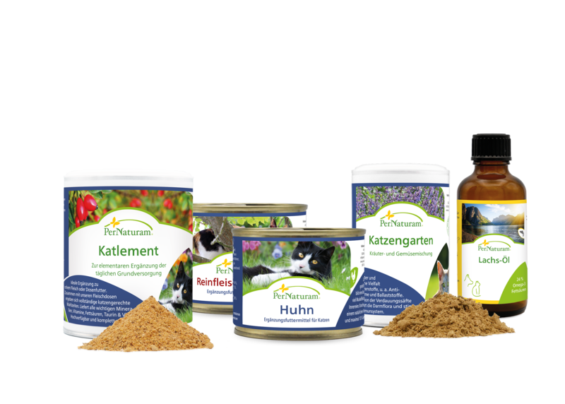 Grundversorgung für Katzen
