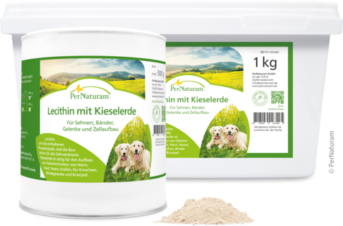 Lecithin mit Kieselerde