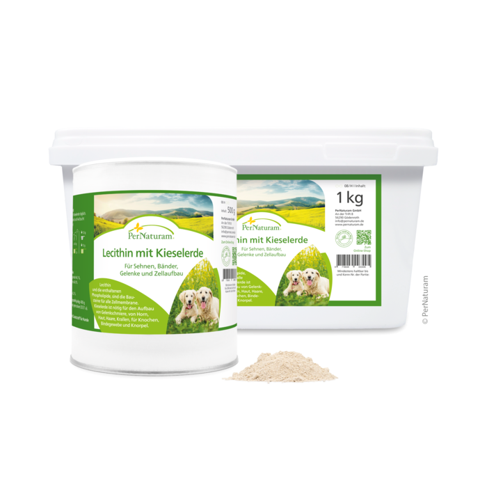 Lecithin mit Kieselerde