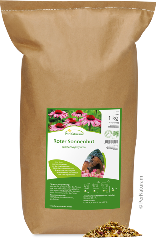 Roter Sonnenhut (1 kg)