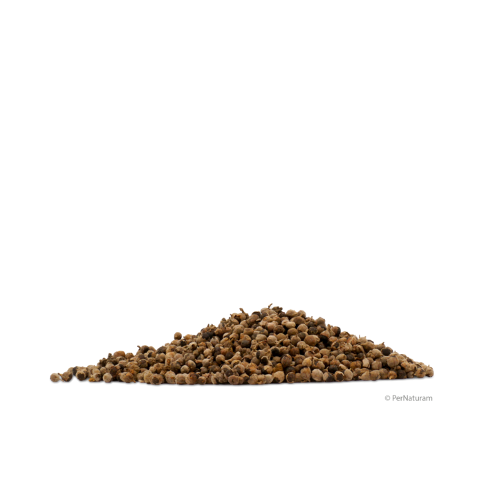 Mönchspfeffer (1 kg)