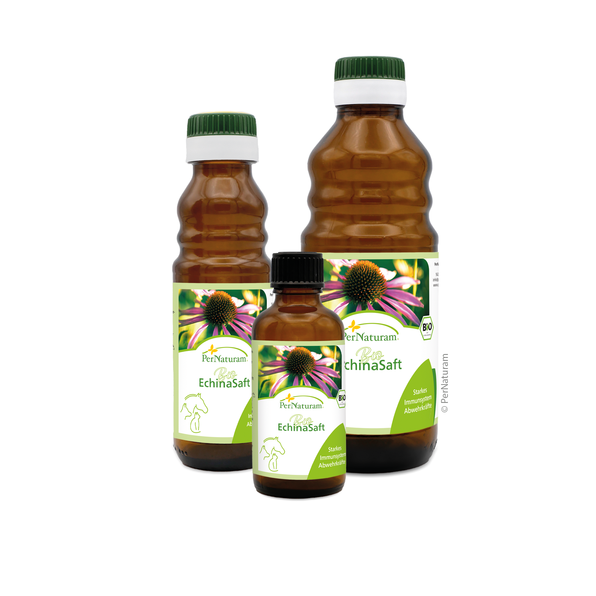 Bio Echina ImmunSaft