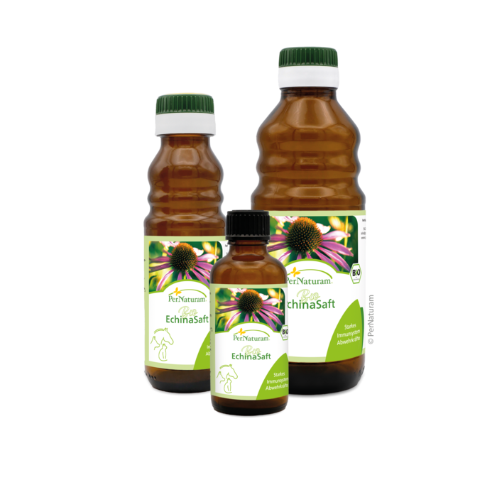 Bio Echina ImmunSaft