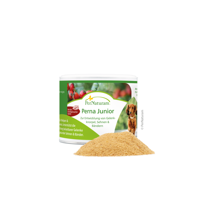 Perna Junior - GelenkAufbau 100 g