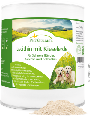 Lecithin mit Kieselerde 500 g