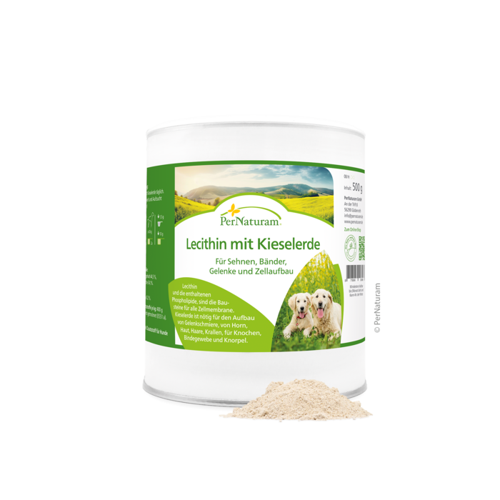 Lecithin mit Kieselerde 500 g
