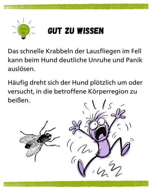 Lausfliegen Hund KV Gut zu wissen