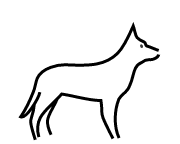 Hund04