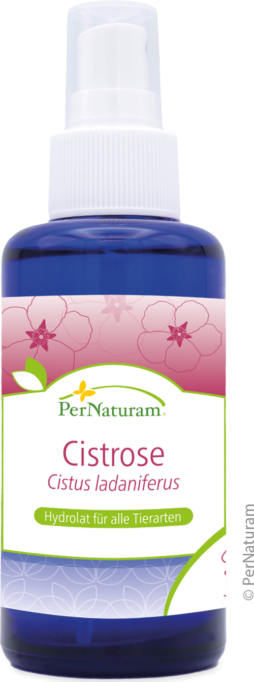 Cistrose Hydrolat (100 ml)