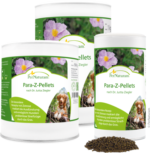 Para-Z-Pellets nach Dr. Jutta Ziegler