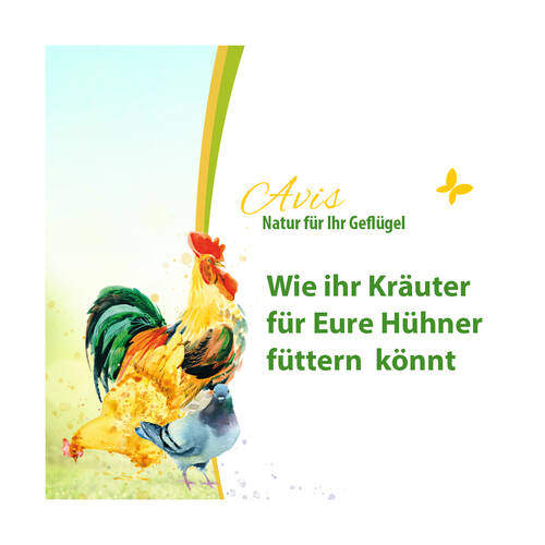 Tipps von PerNaturam zum Thema Geflügel