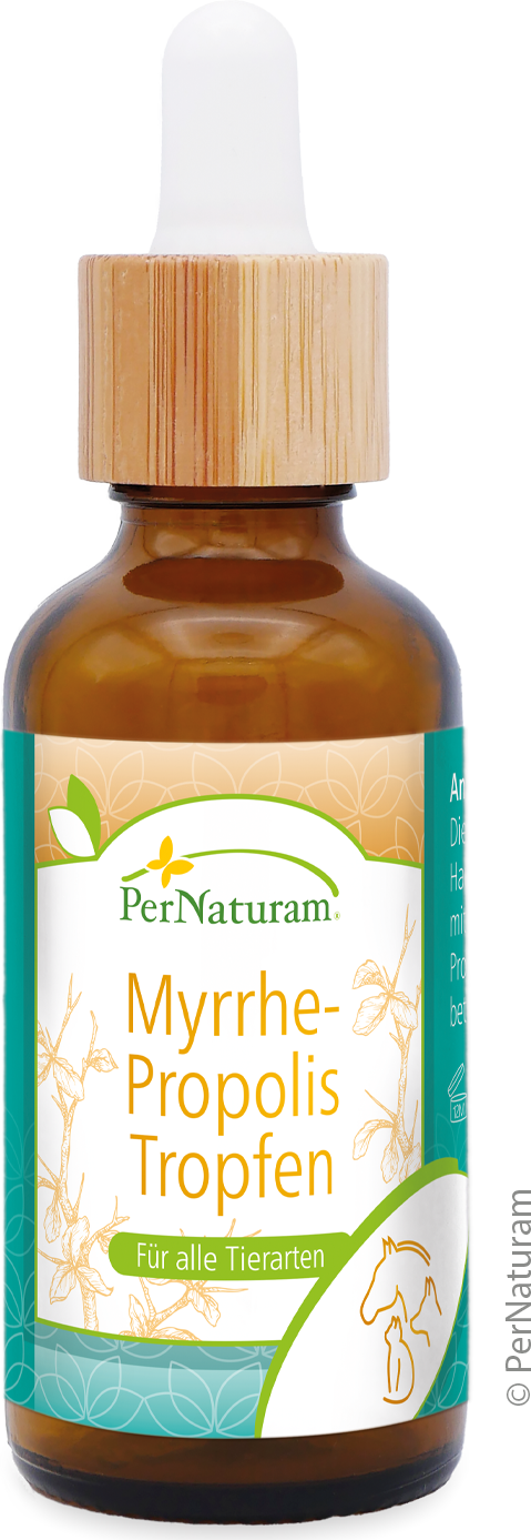 Myrrhe-Propolis-Tropfen ( 50 ml )