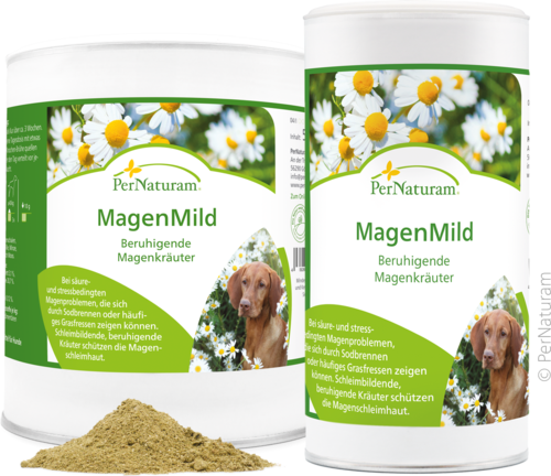 Gruppe PN H PB MagenMild web