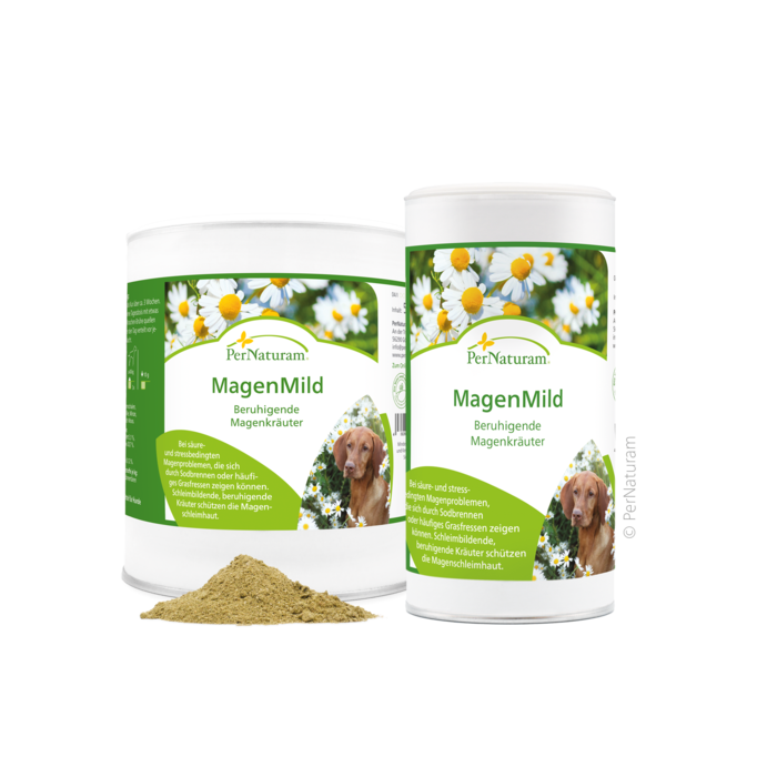 MagenMild (Hund)