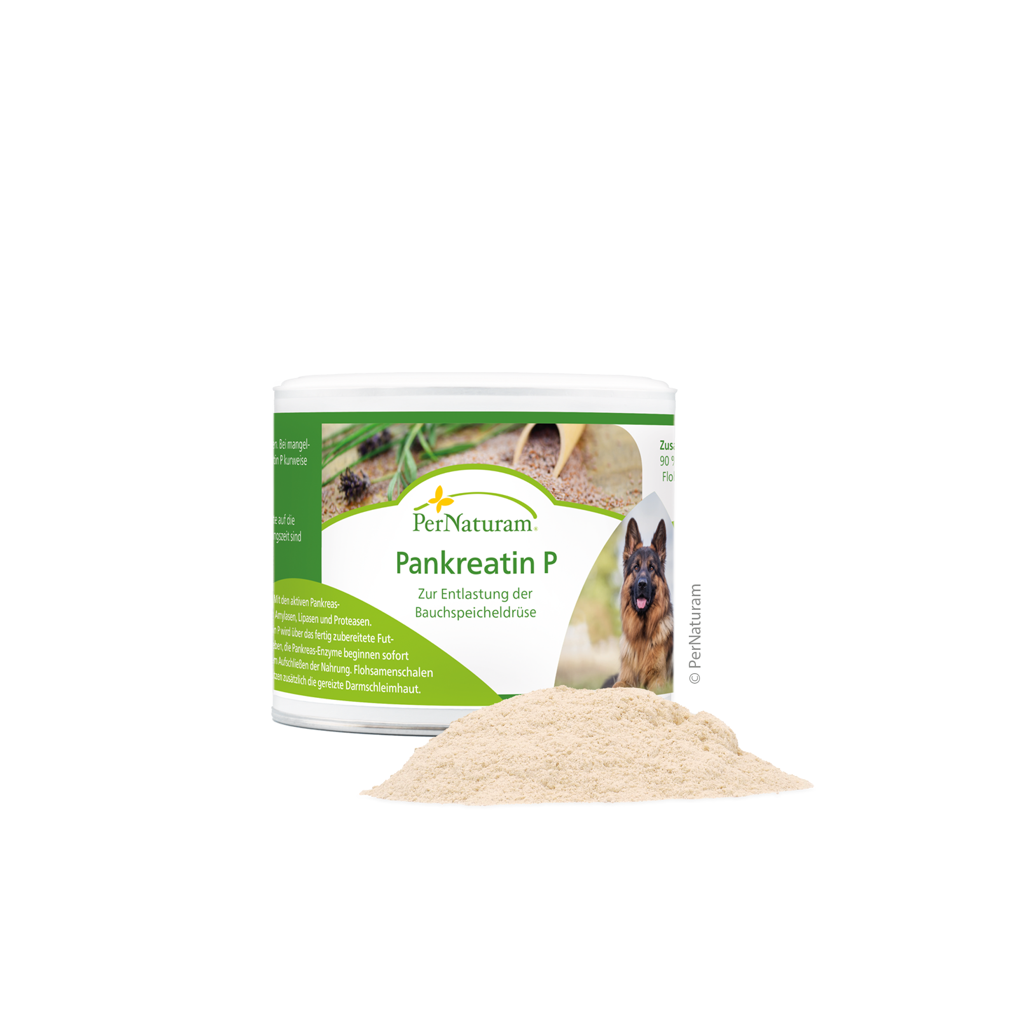 Pankreatin P