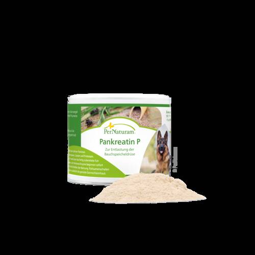Pankreatin P
