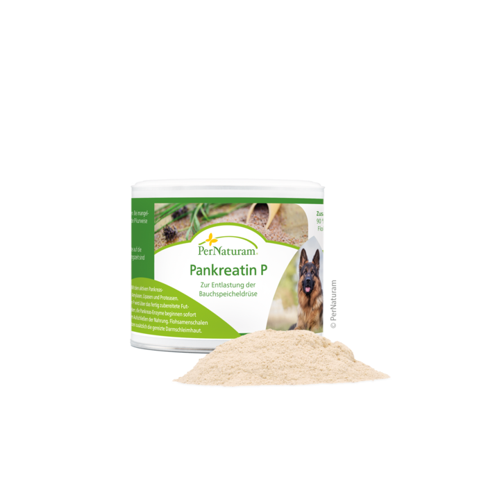 Pankreatin P 1 x 100 g