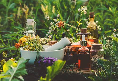 blog/eine-heilpflanze-ist-mehr-als-die-summe-ihrer-inhaltsstoffe