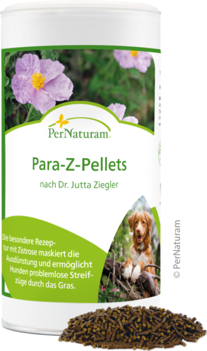 Para-Z-Pellets nach Dr. Jutta Ziegler 250 g