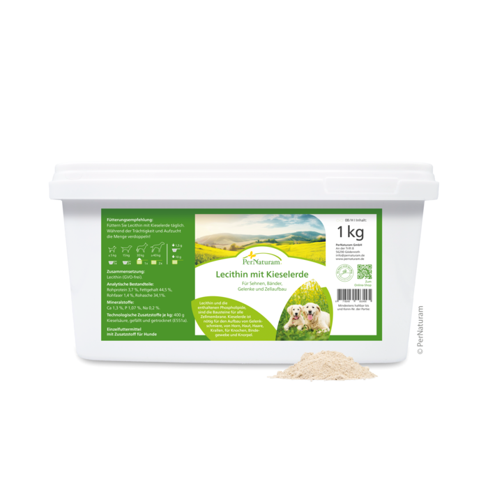 Lecithin mit Kieselerde 1 kg