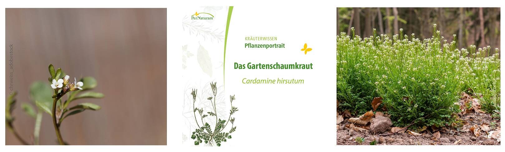 Tipps von PerNaturam zum Thema Geflügel