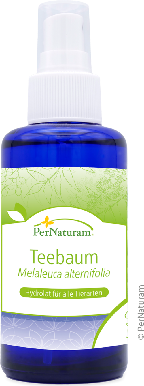 Teebaum Hydrolat (100 ml)