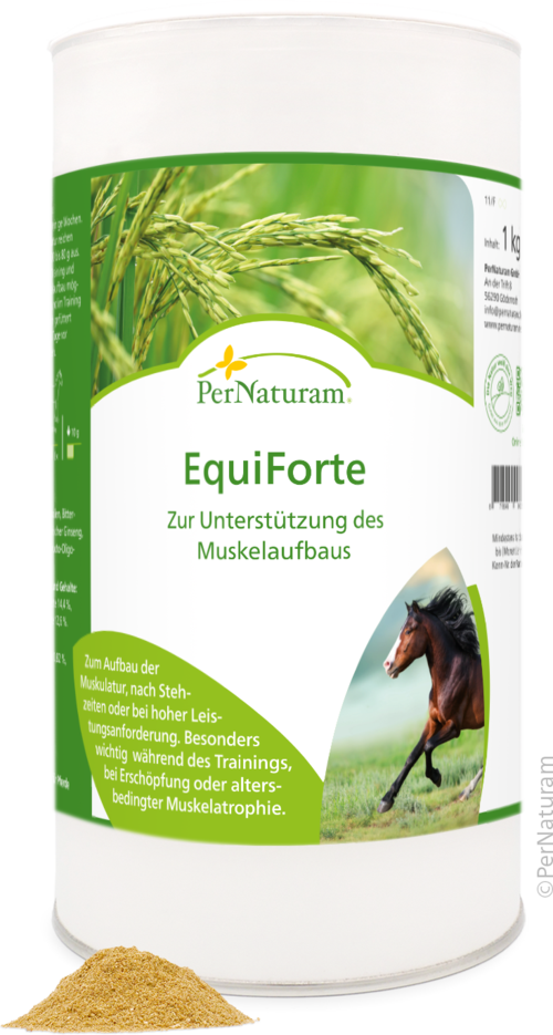 EquiForte - MuskelKraft