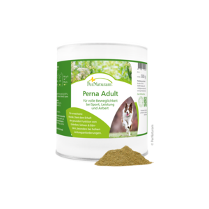 Perna Adult - GelenkSchutz 500 g