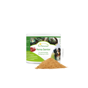 Perna Senior - GelenkAktiv 100 g