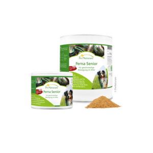 Perna Senior - GelenkAktiv 500 g