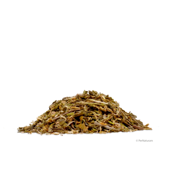Spitzwegerich (1 kg)