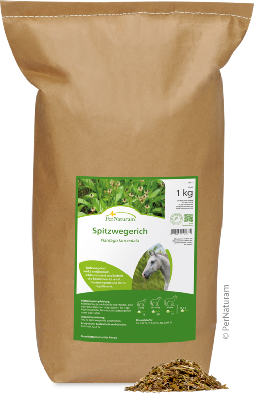 Spitzwegerich (1 kg)
