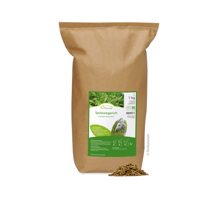 Spitzwegerich (1 kg)