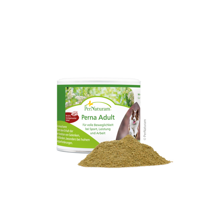 Perna Adult - GelenkSchutz 100 g