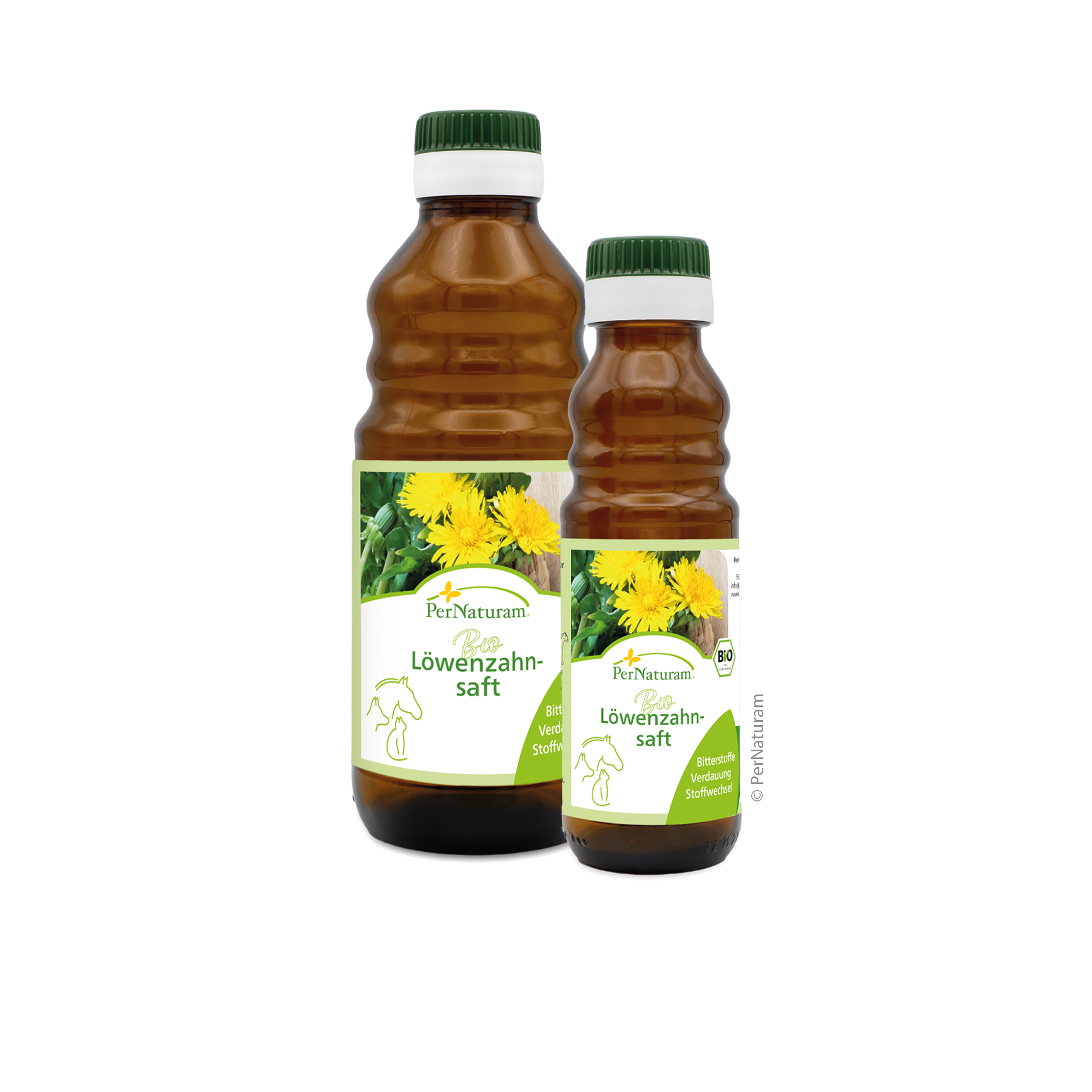 Bio Löwenzahnsaft