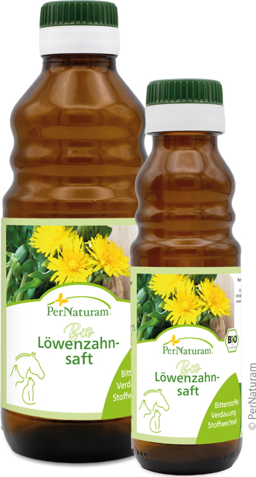 Bio Löwenzahnsaft