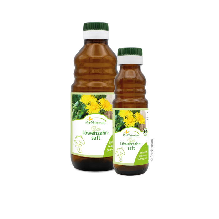 Bio Löwenzahnsaft