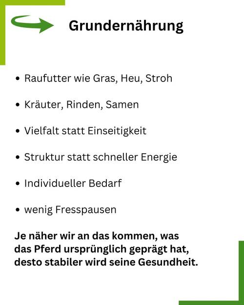 Artg Pferdefütterung Summary
