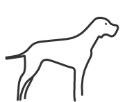 Hund05