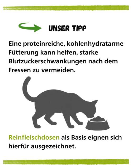 Diabetes Unser Tipp
