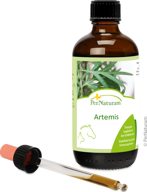 Artemis - Beifuß & Karde (100 ml)