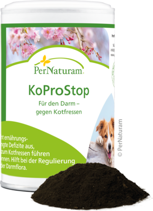 KoProStop - DarmRegeneration 100 g